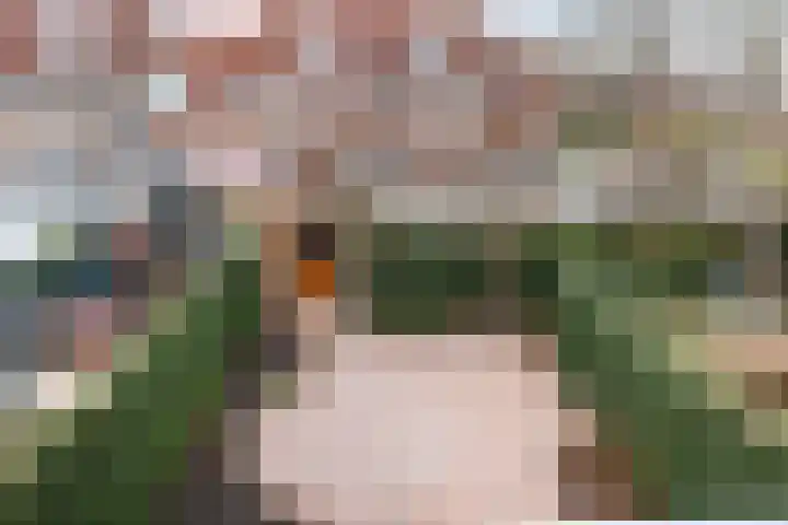 Waterdekmos 8 Reeuwijk thumbnail 47