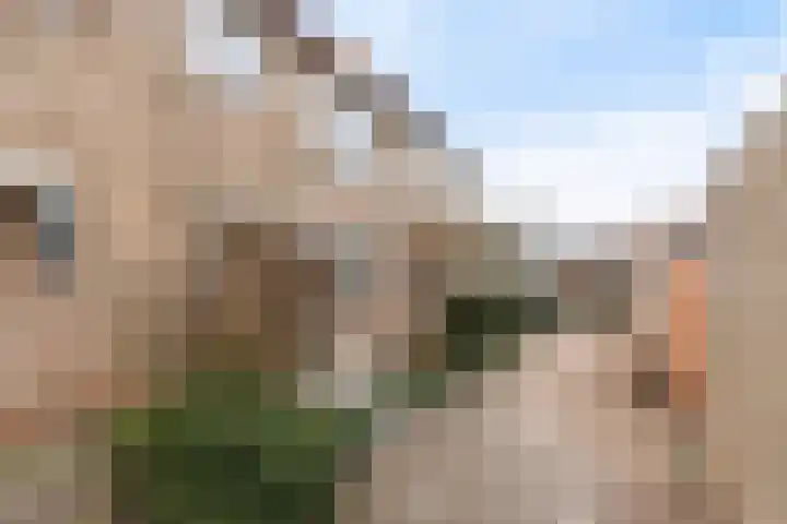 Waterdekmos 8 Reeuwijk thumbnail 49