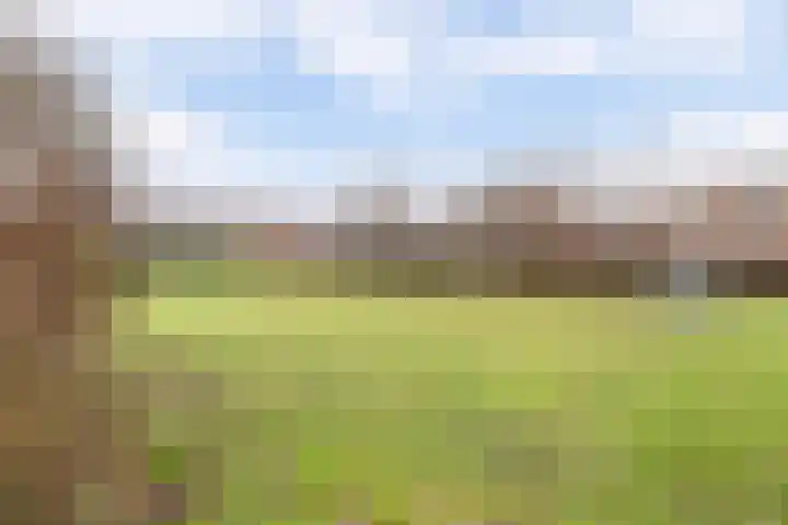 Waterdekmos 8 Reeuwijk thumbnail 50