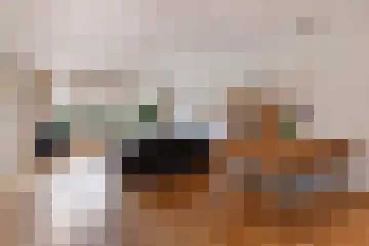 Waterdekmos 8 Reeuwijk thumbnail 9