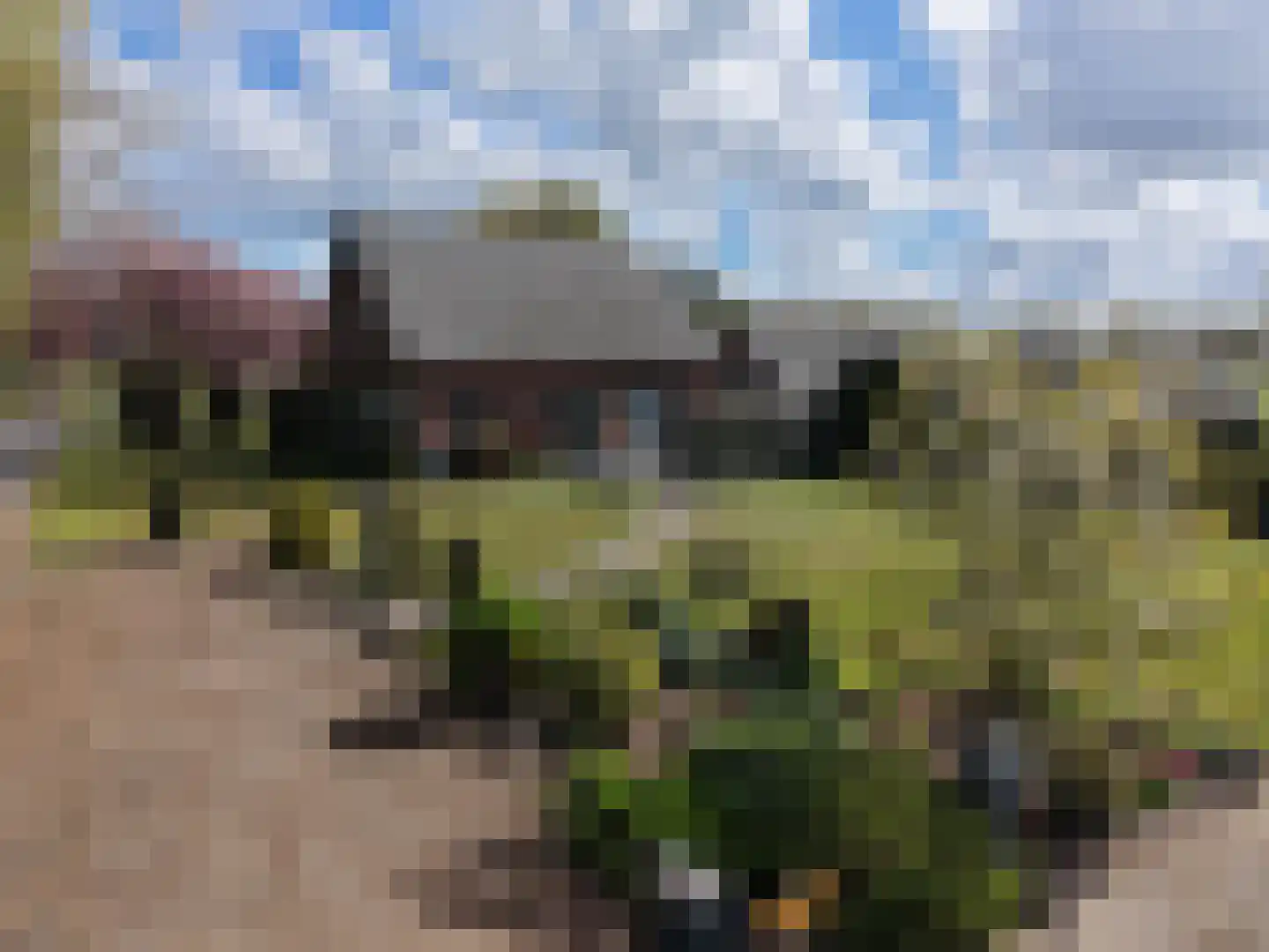 Waterdijk 2 Ruurlo thumbnail 10