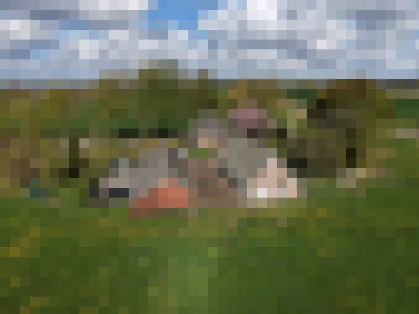 Waterdijk 2 Ruurlo thumbnail 4