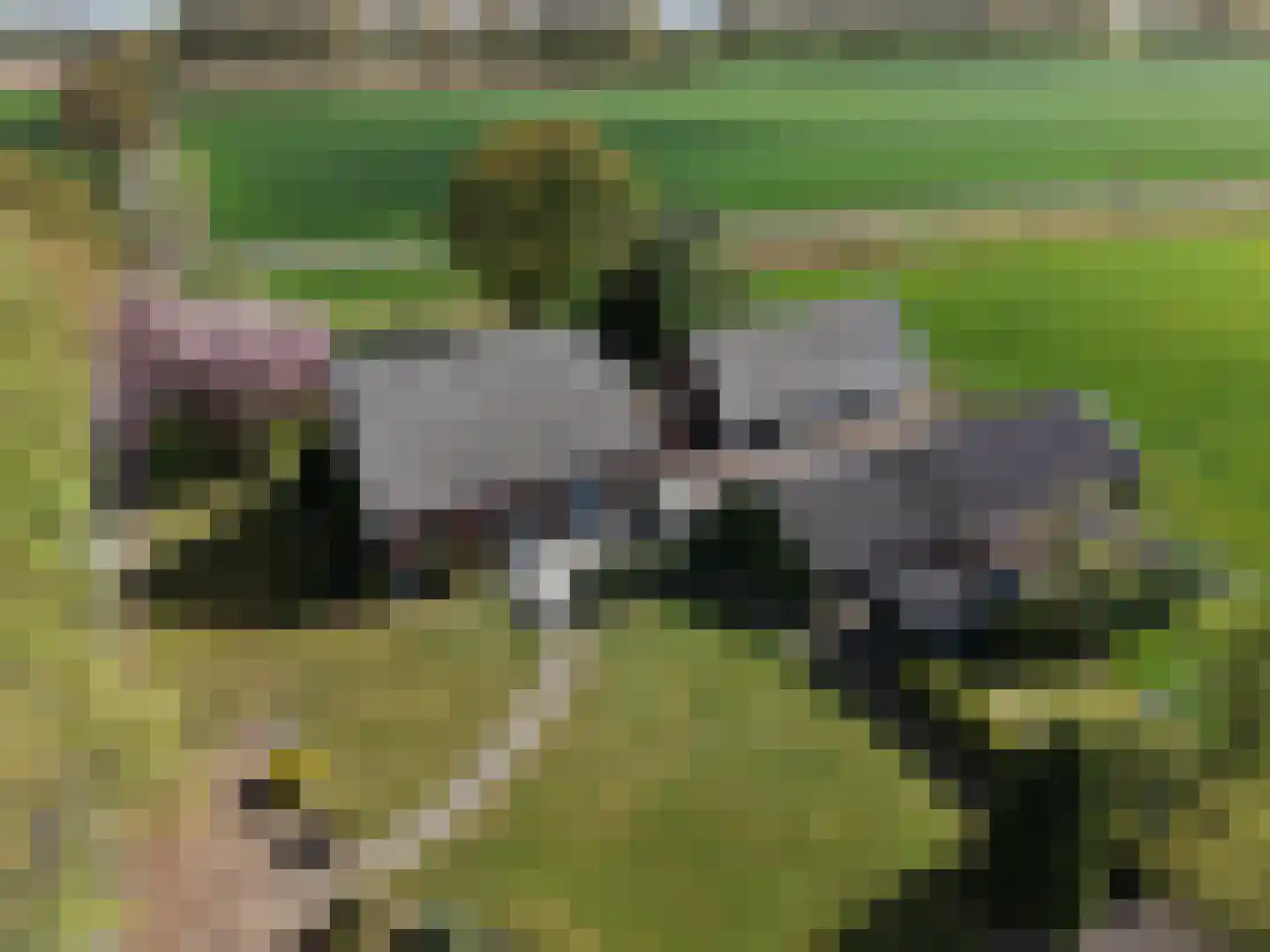 Waterdijk 2 Ruurlo thumbnail 7