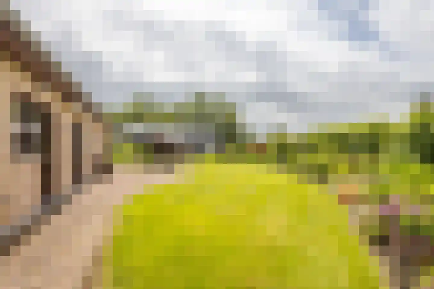 Waterdijkbos 11 Philippine thumbnail 29