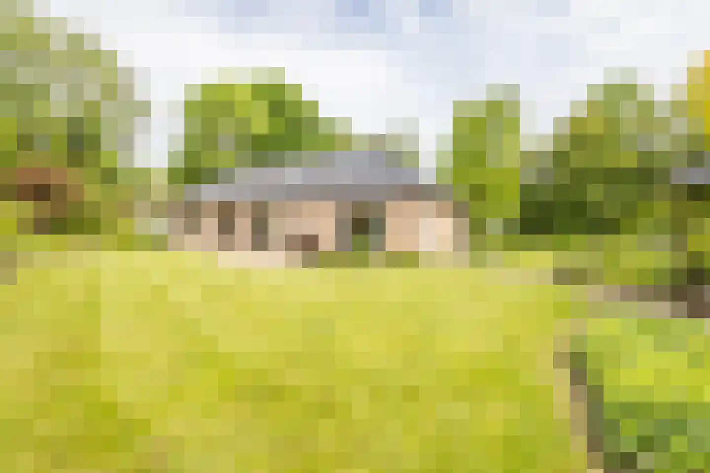 Waterdijkbos 11 Philippine thumbnail 33