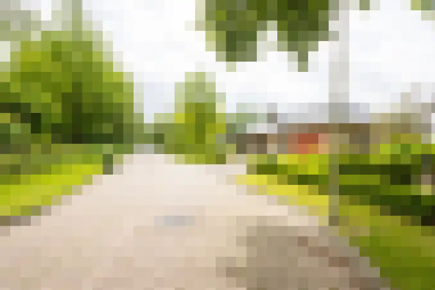 Waterdijkbos 11 Philippine thumbnail 35