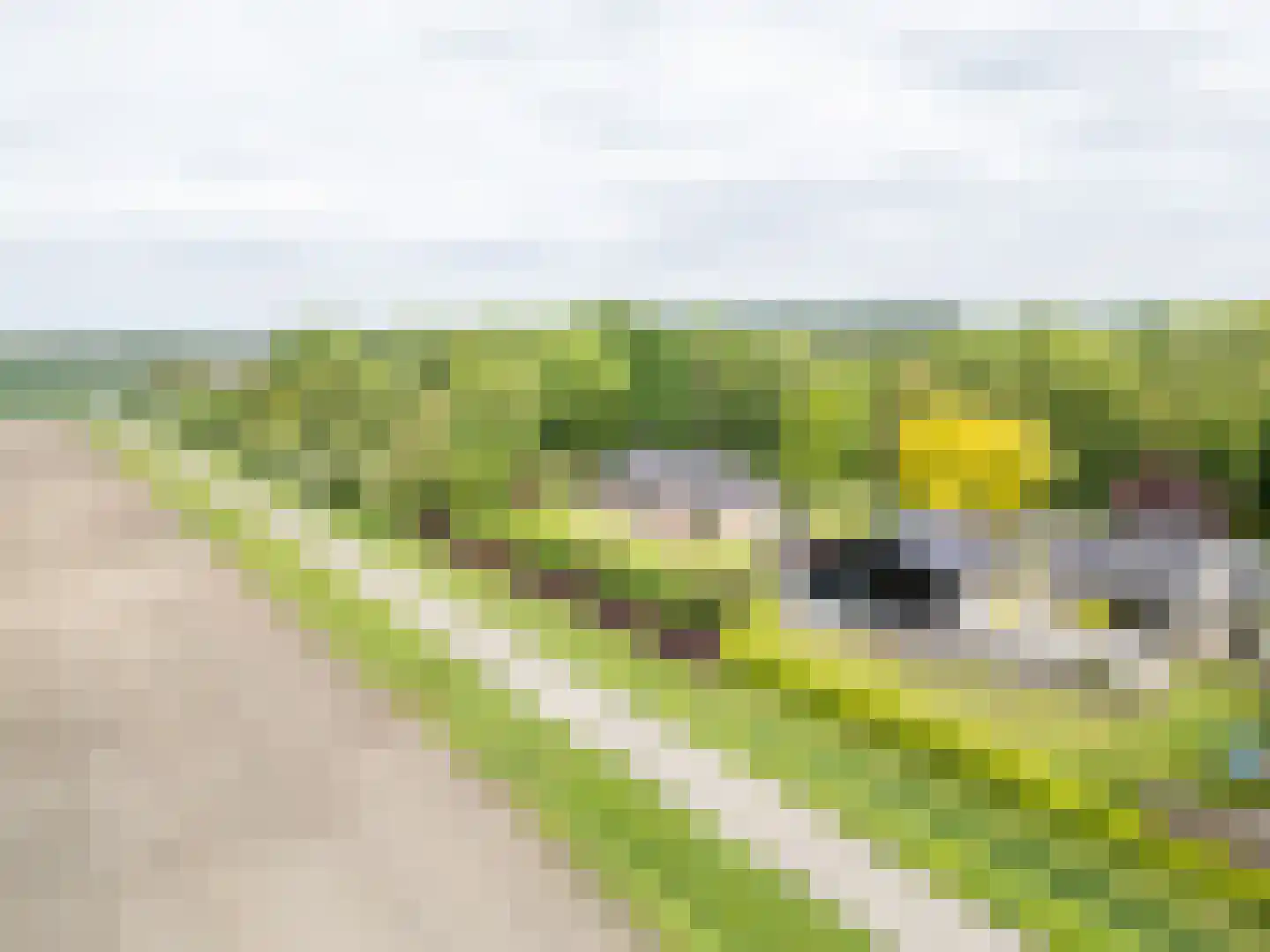 Waterdijkbos 11 Philippine thumbnail 38