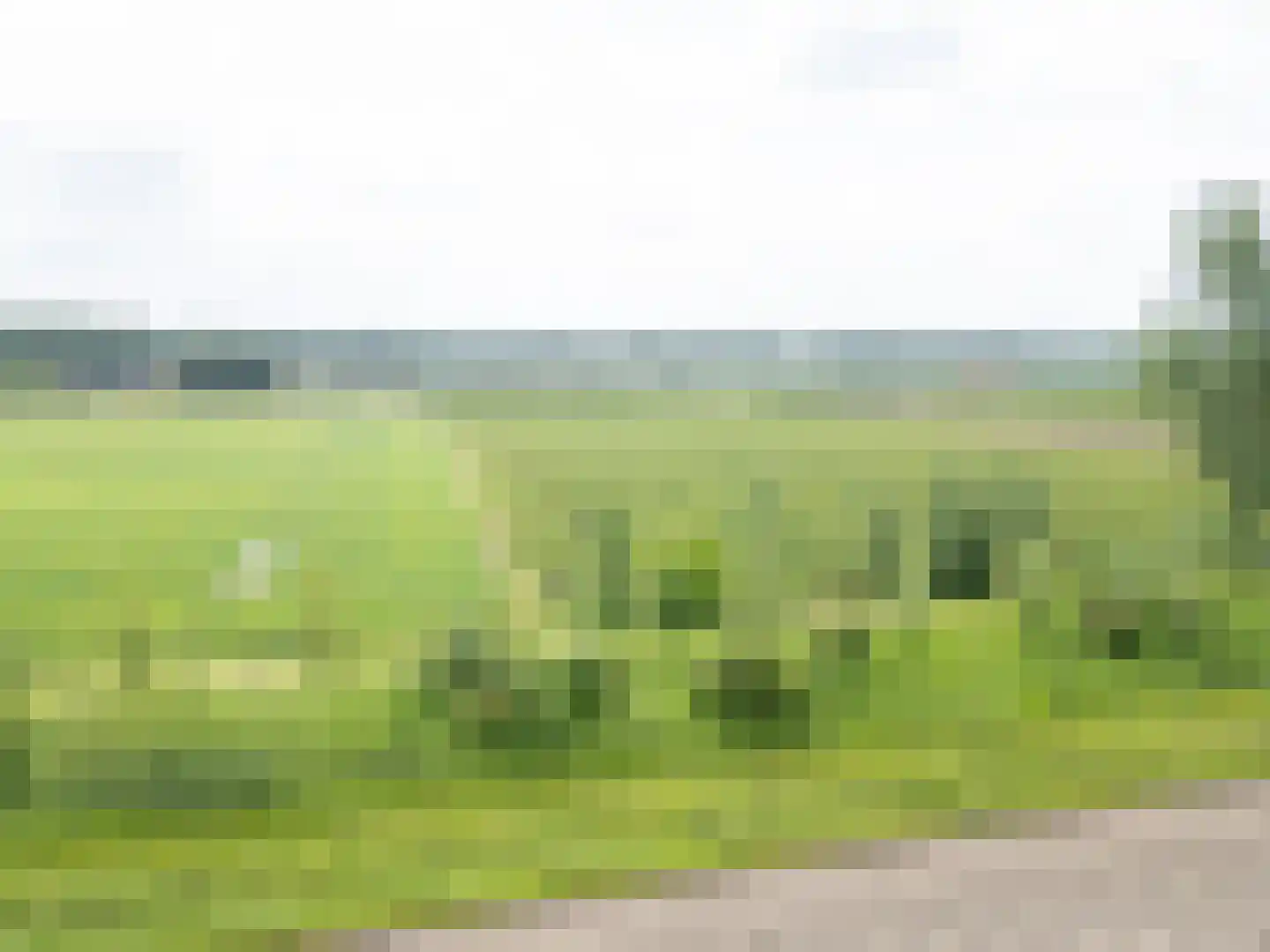 Waterdijkbos 11 Philippine thumbnail 39