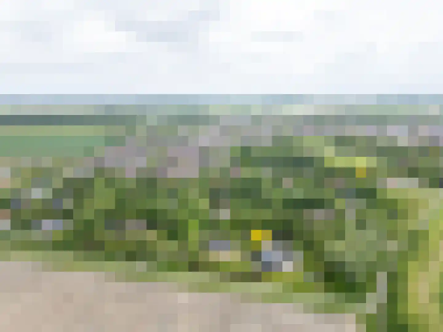 Waterdijkbos 11 Philippine thumbnail 40