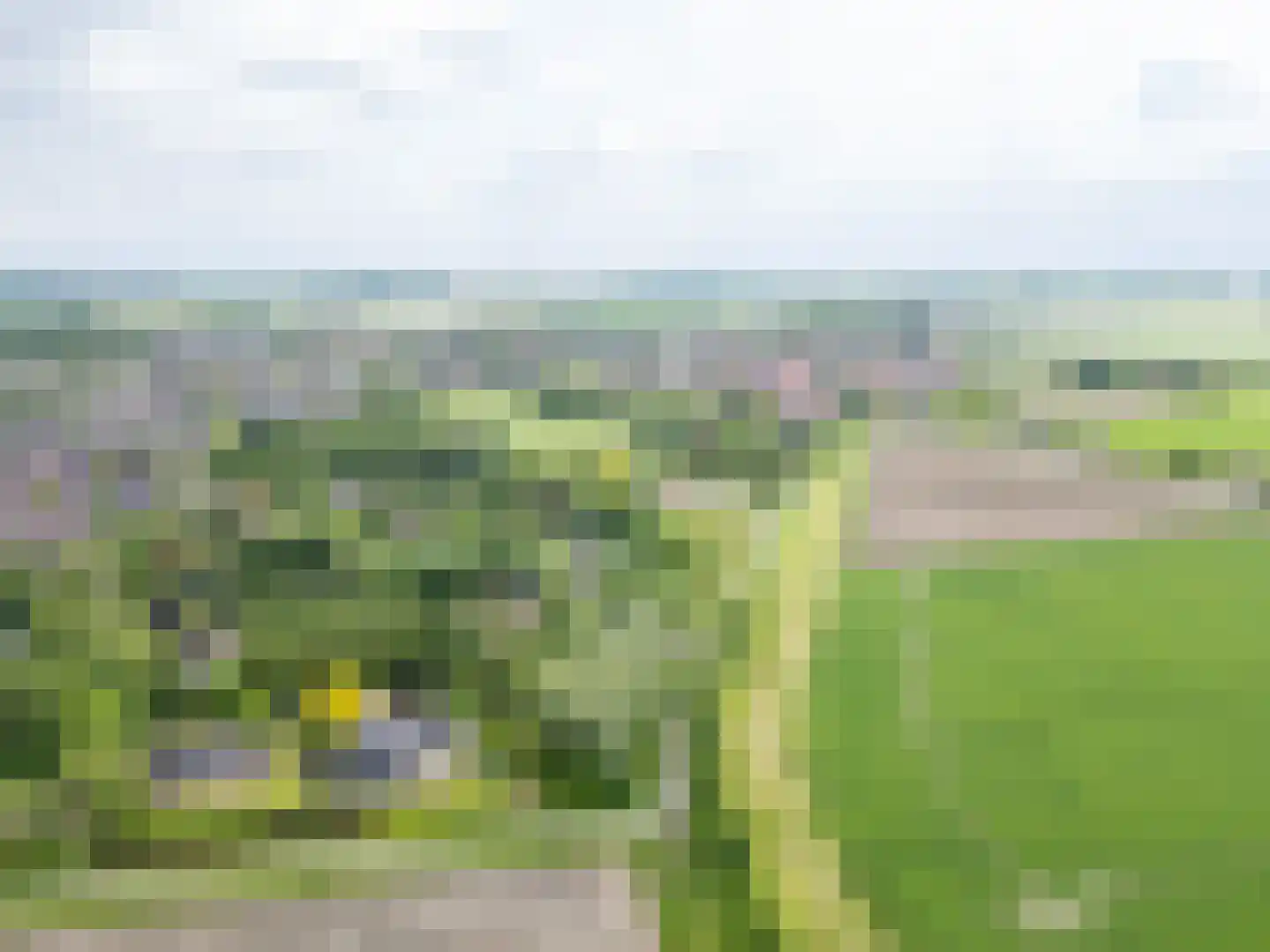 Waterdijkbos 11 Philippine thumbnail 41