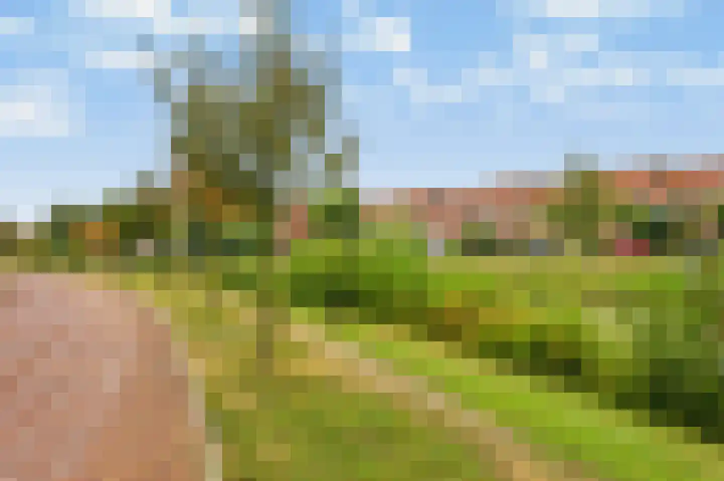 Waterdorp 13 Beuningen Gld thumbnail 48