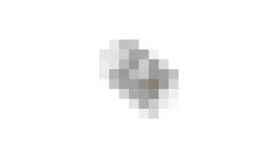 Waterdorp 13 Beuningen Gld thumbnail 60