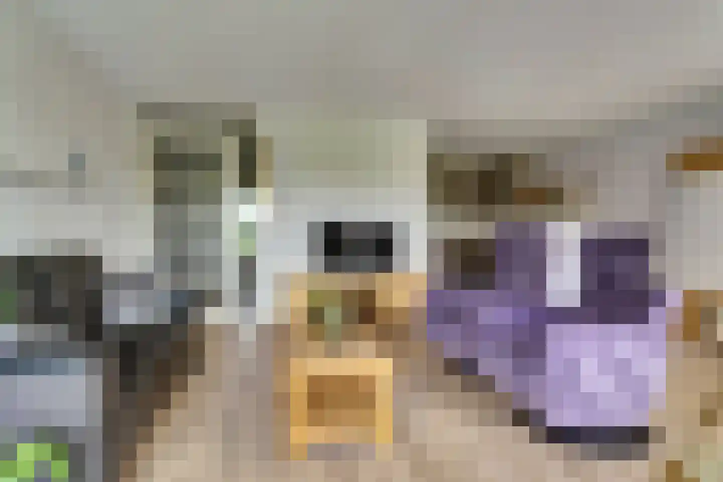 Waterdorp 14 Beuningen Gld thumbnail 7