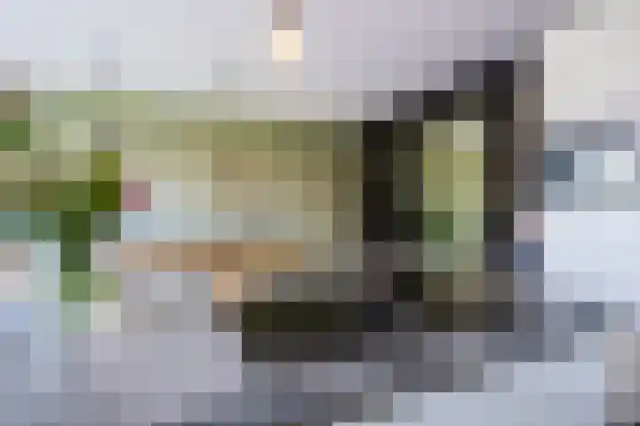Waterdorp 31 Beuningen Gld thumbnail 17