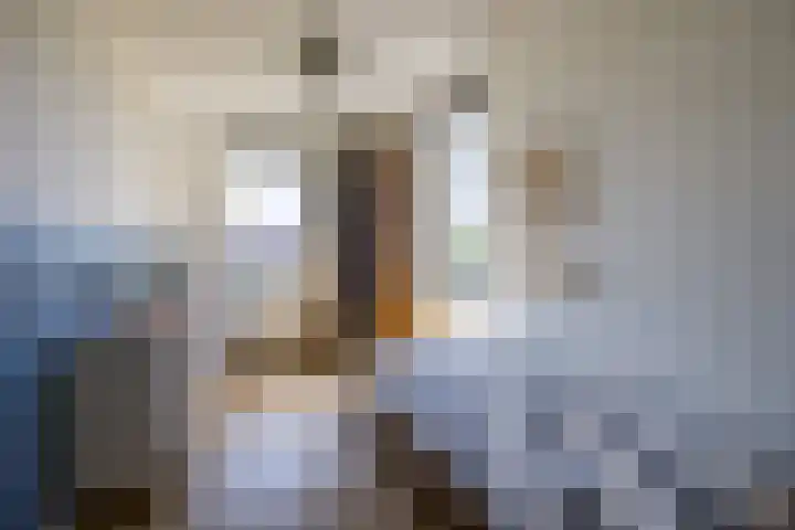 Waterdorp 31 Beuningen Gld thumbnail 37