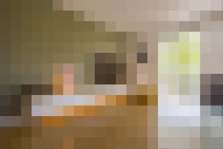 Waterdorp 31 Beuningen Gld thumbnail 6