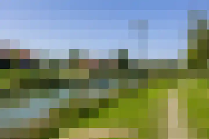 Waterdorp 31 Beuningen Gld thumbnail 69