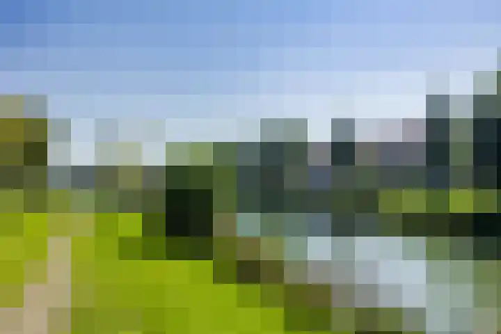 Waterdorp 31 Beuningen Gld thumbnail 70