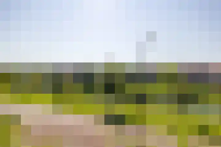 Waterdorp 31 Beuningen Gld thumbnail 71
