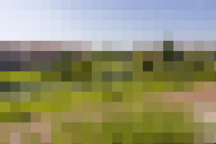 Waterdorp 31 Beuningen Gld thumbnail 73