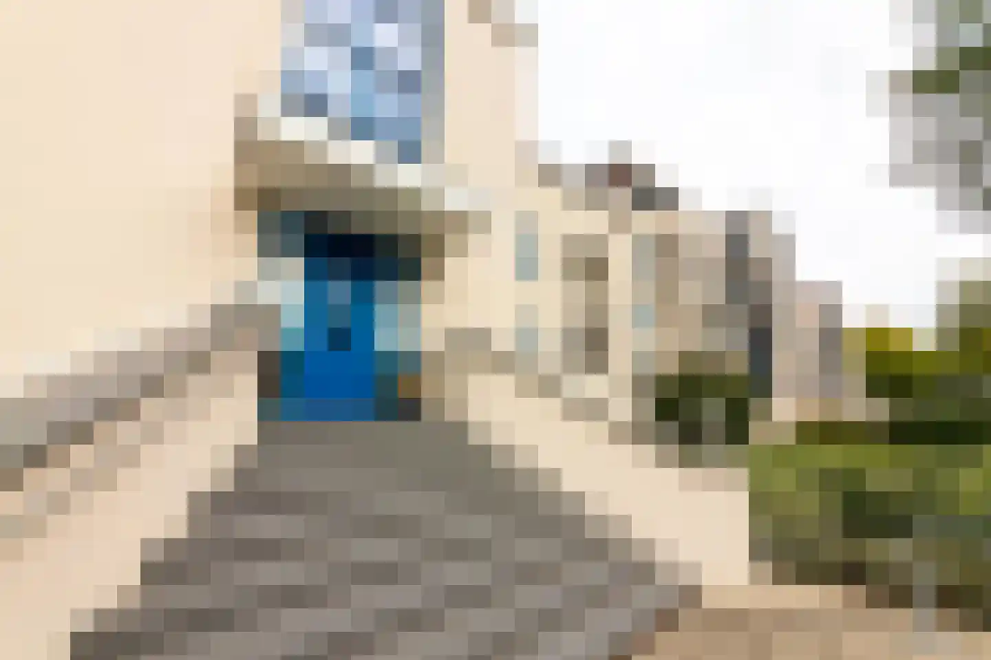 Waterdorp 58 Beuningen Gld thumbnail 70