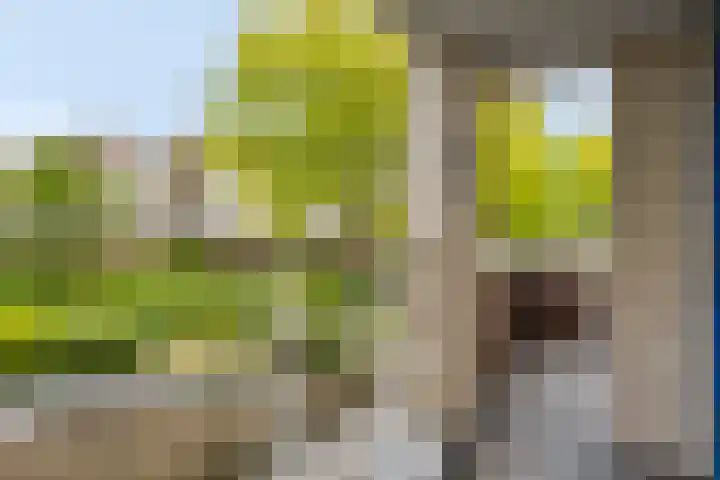 Waterdorp 68 Beuningen Gld thumbnail 10