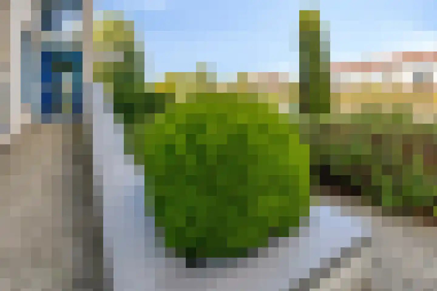 Waterdorp 76 Beuningen Gld thumbnail 10