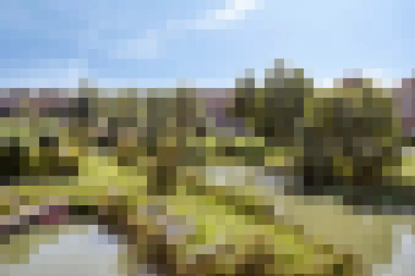 Waterdorp 76 Beuningen Gld thumbnail 26