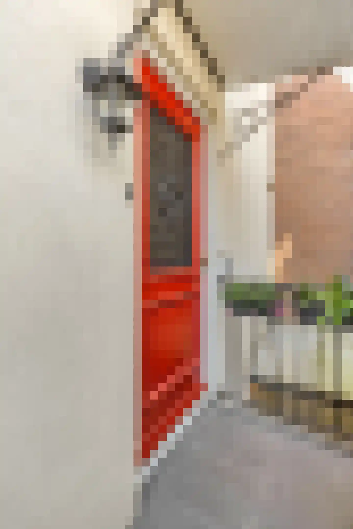 Waterdragerssteeg 6 Breukelen thumbnail 11