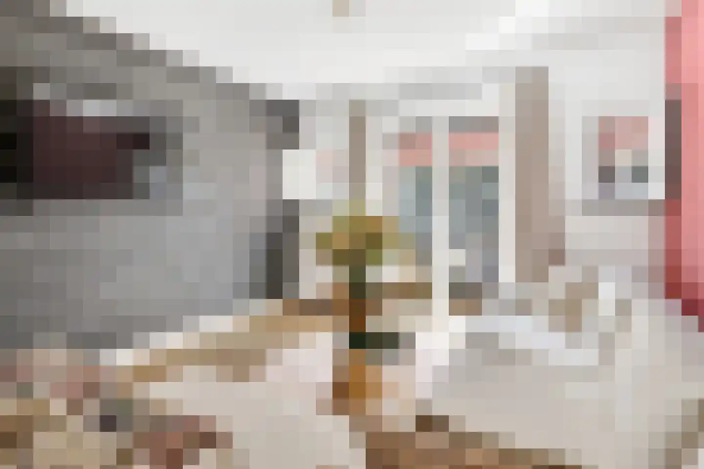 Waterdragerssteeg 6 Breukelen thumbnail 14