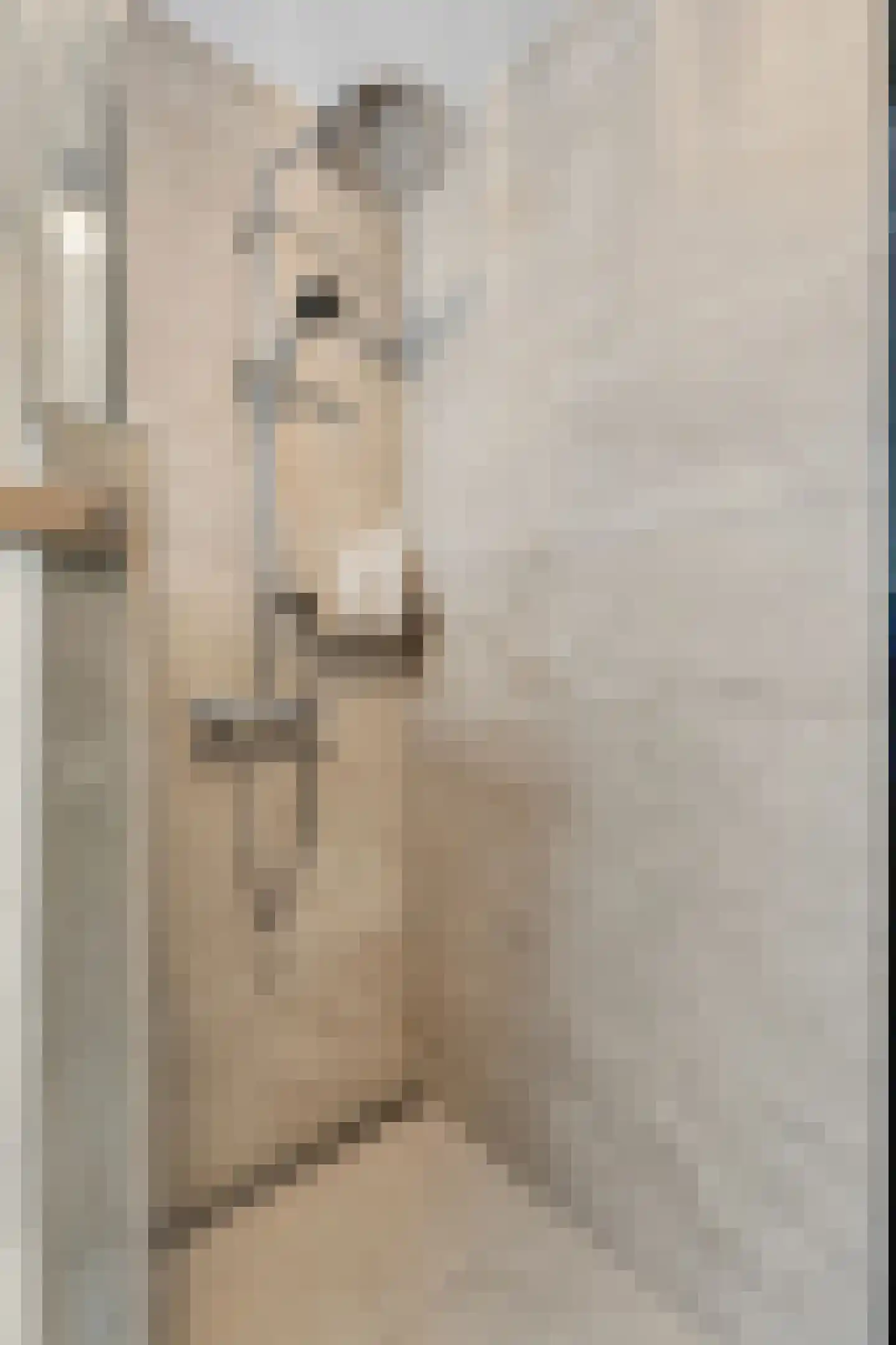 Waterdragerssteeg 6 Breukelen thumbnail 23