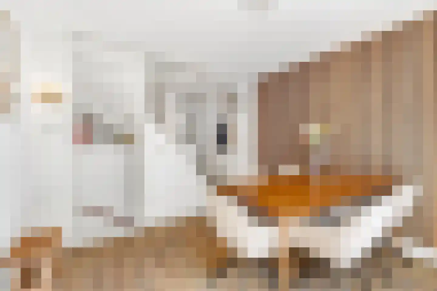 Waterdragerssteeg 6 Breukelen thumbnail 27