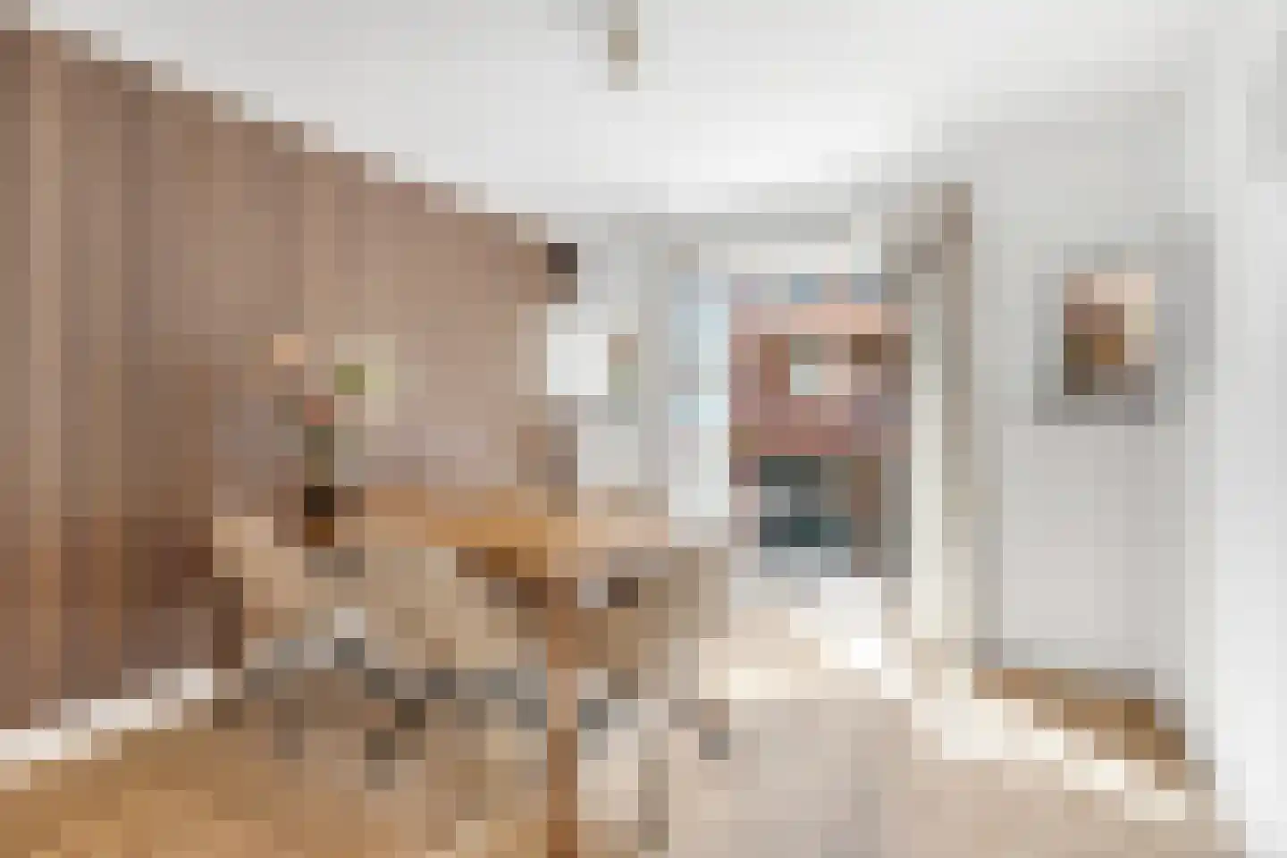 Waterdragerssteeg 6 Breukelen thumbnail 28
