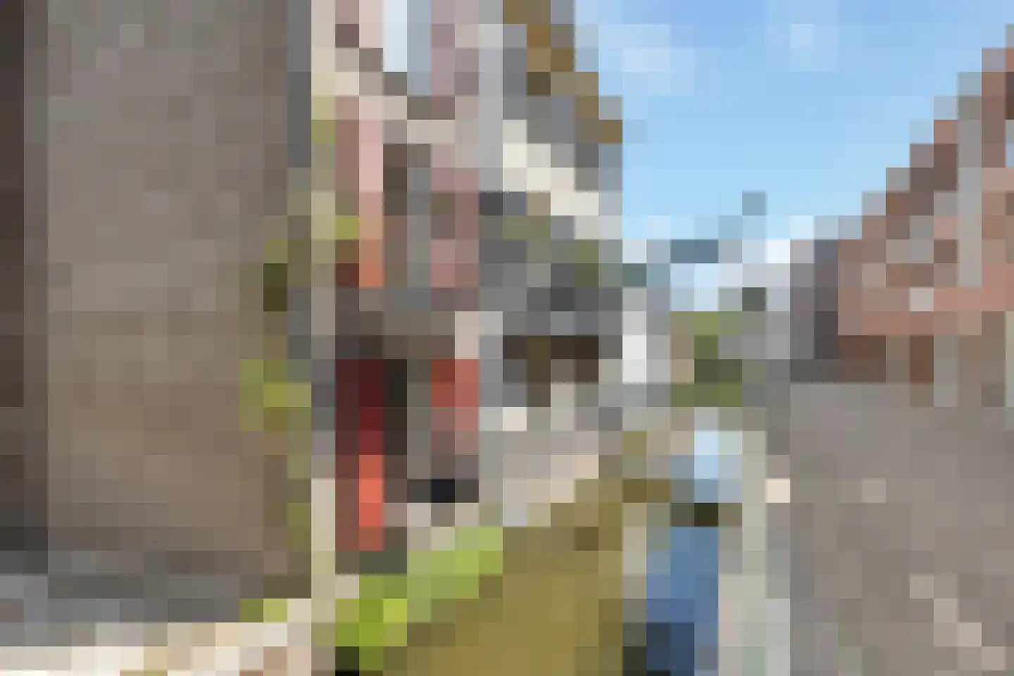 Waterdragerssteeg 6 Breukelen thumbnail 4