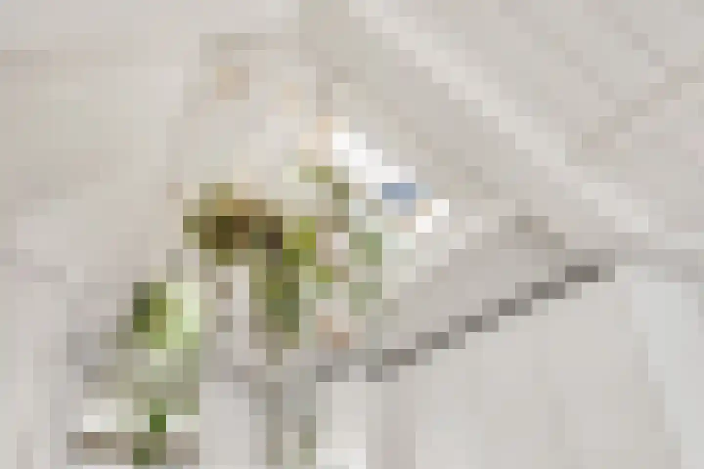 Waterdragerssteeg 6 Breukelen thumbnail 41