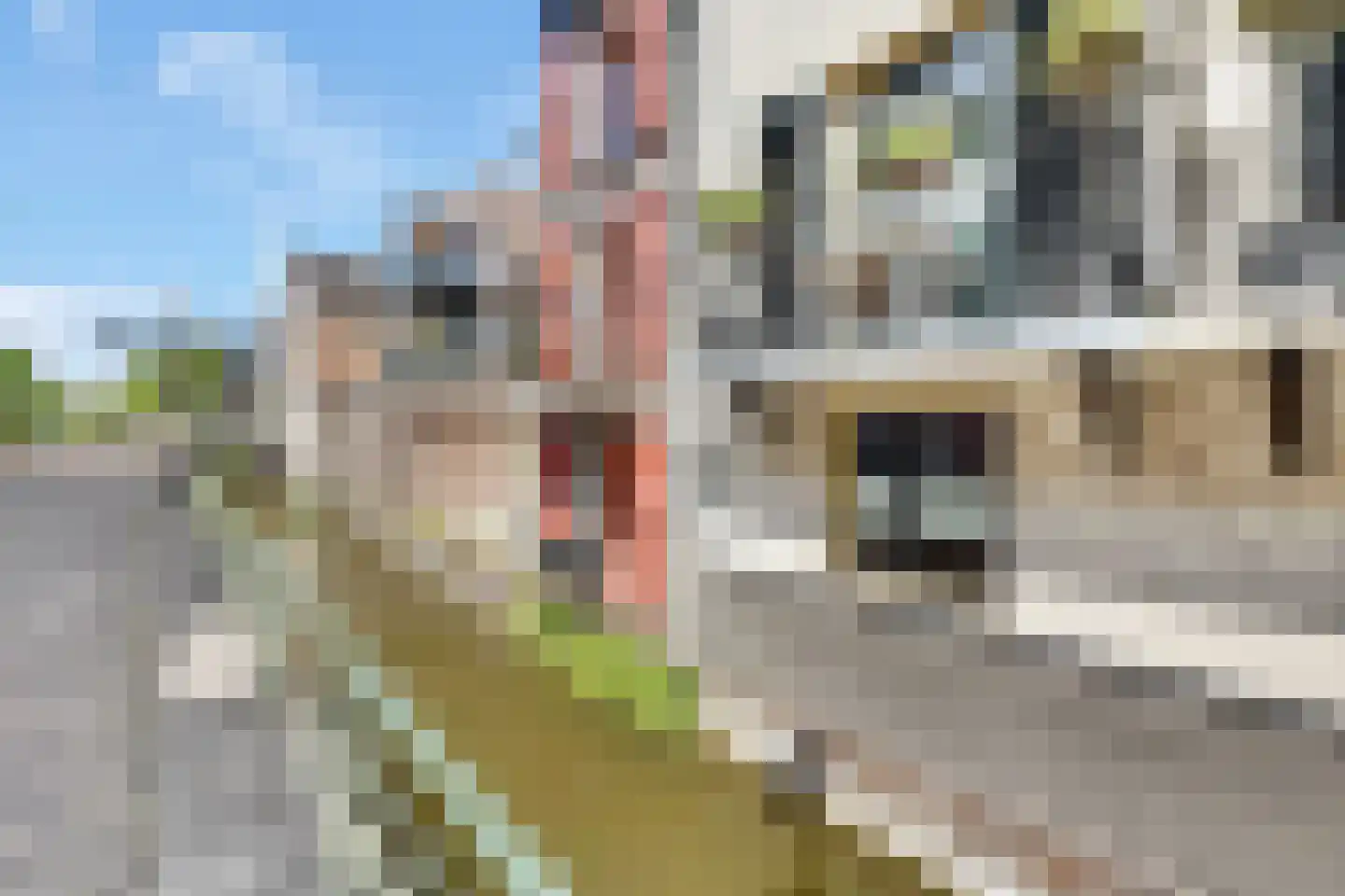 Waterdragerssteeg 6 Breukelen thumbnail 47