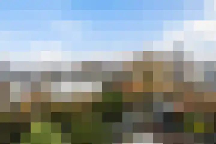 Waterdreef 348 Amersfoort thumbnail 34