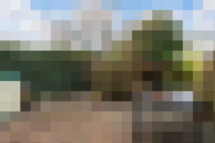 Waterdreef 348 Amersfoort thumbnail 37