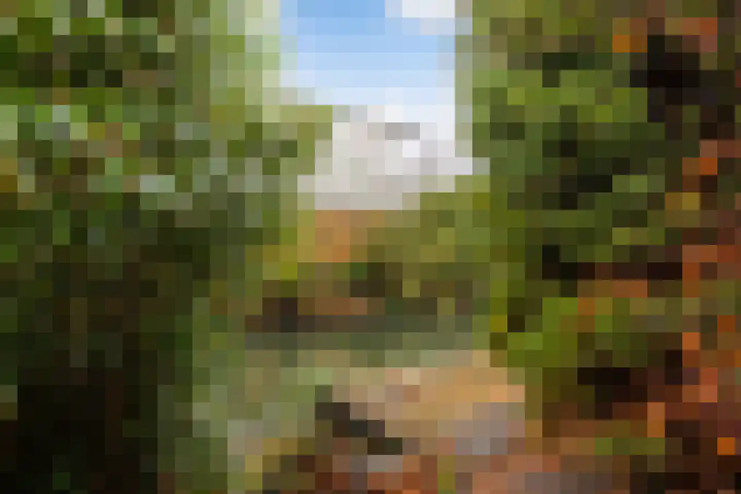 Waterdreef 348 Amersfoort thumbnail 39