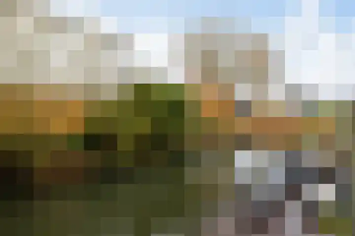 Waterdreef 348 Amersfoort thumbnail 40