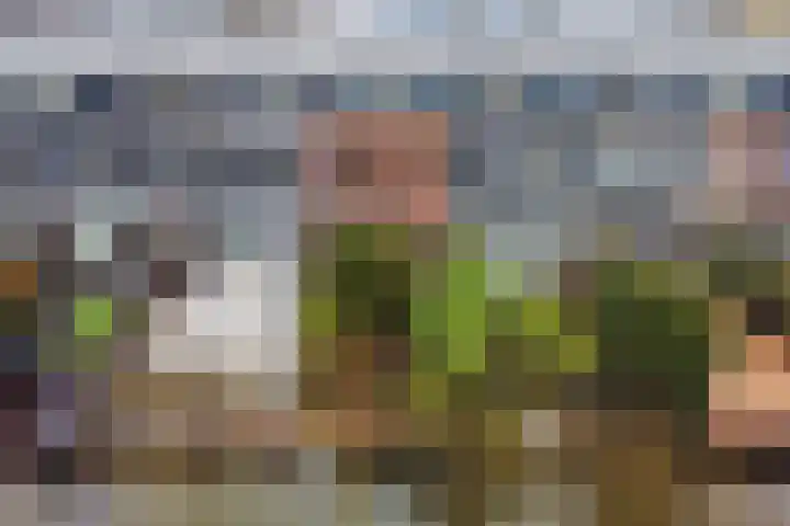Waterdreef 348 Amersfoort thumbnail 41