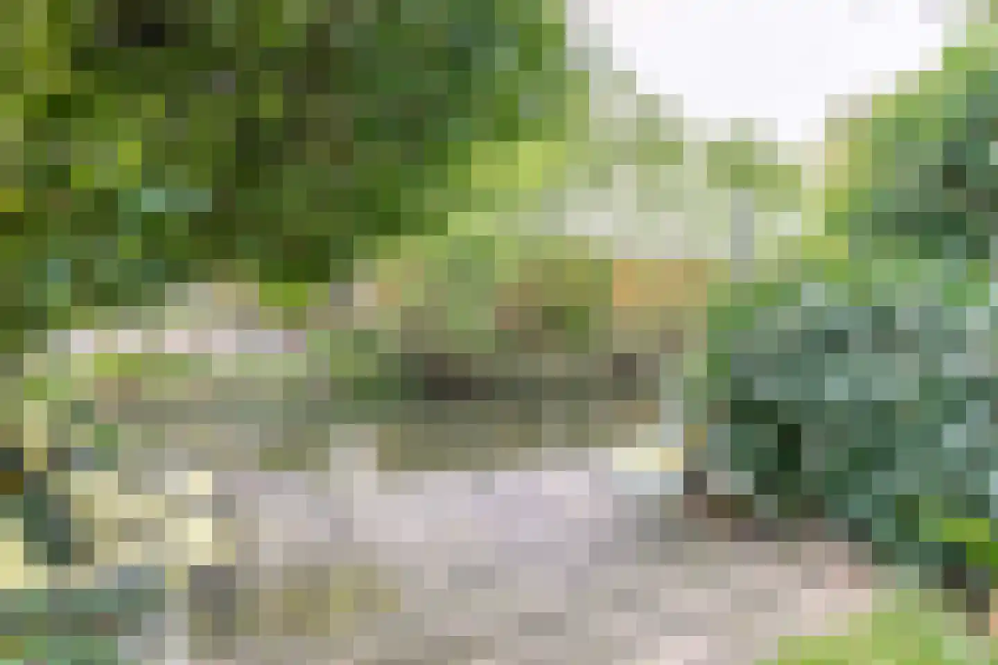 Waterdreef 350 Amersfoort thumbnail 26