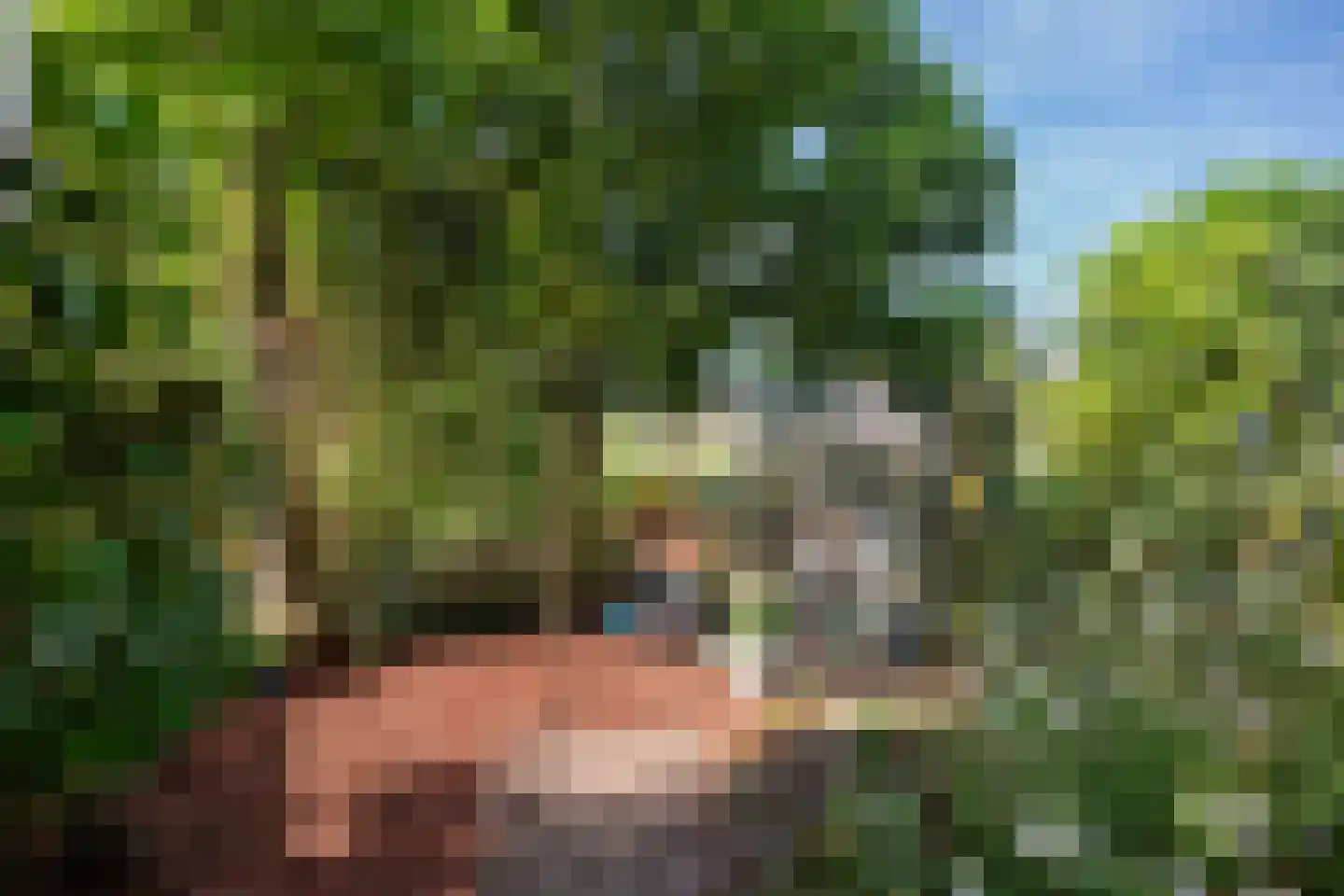 Waterdreef 390 Amersfoort thumbnail 20