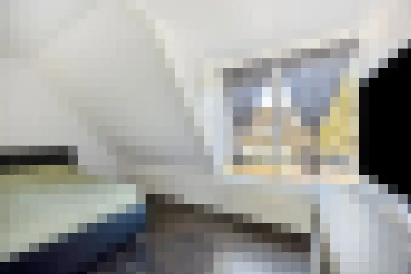 Waterdrieblad 17 Oudkarspel thumbnail 16