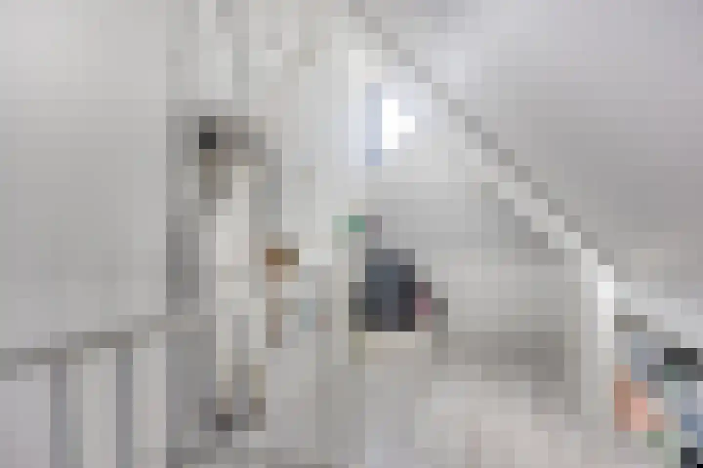 Waterdrieblad 17 Oudkarspel thumbnail 21