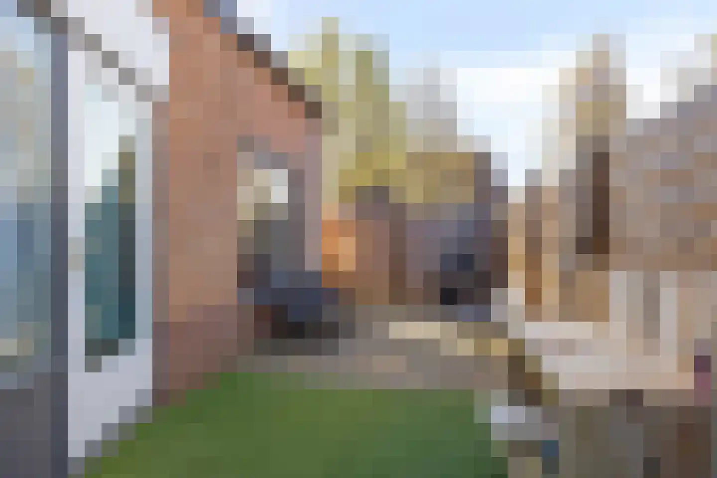 Waterdrieblad 17 Oudkarspel thumbnail 25
