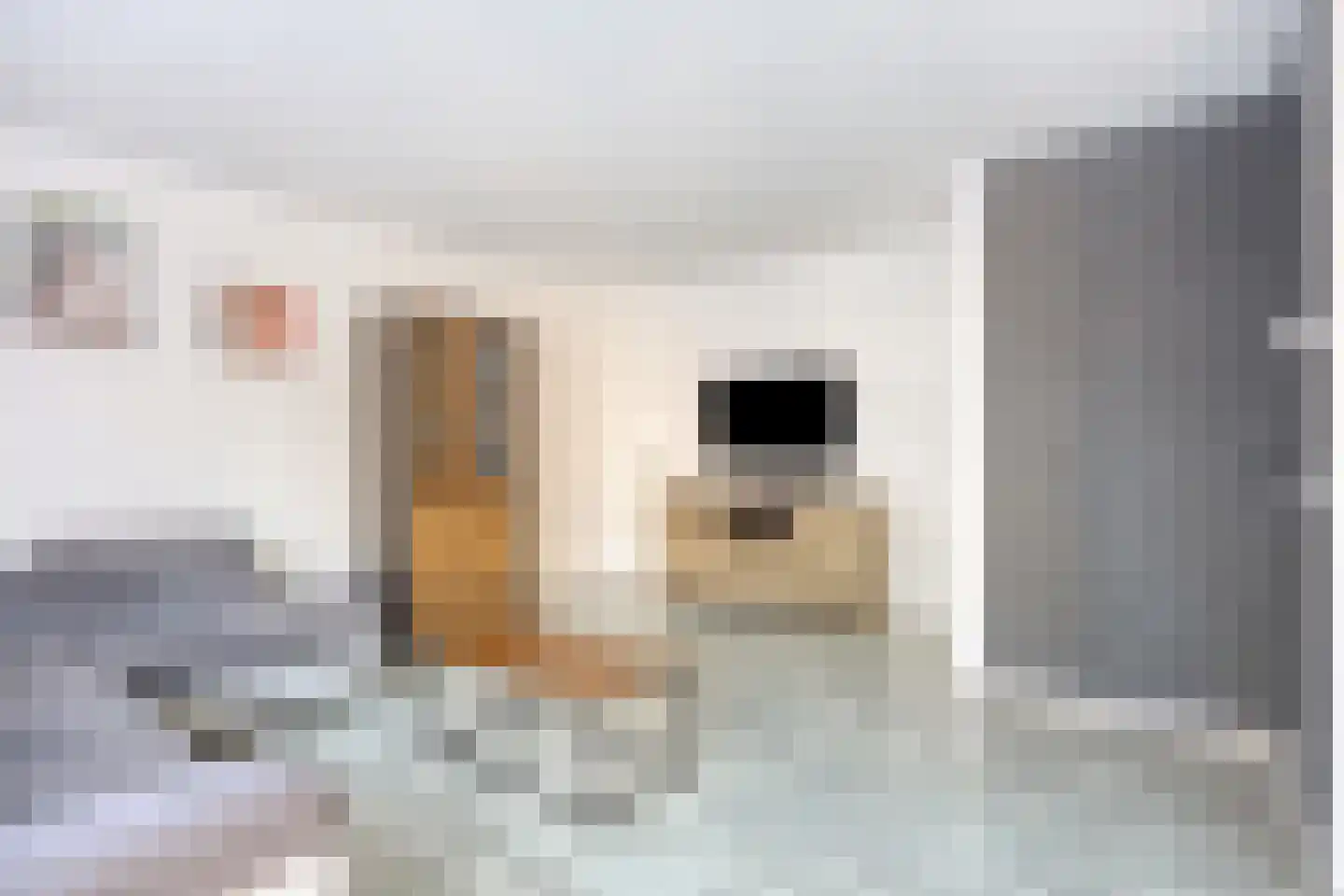 Waterdrieblad 17 Oudkarspel thumbnail 5
