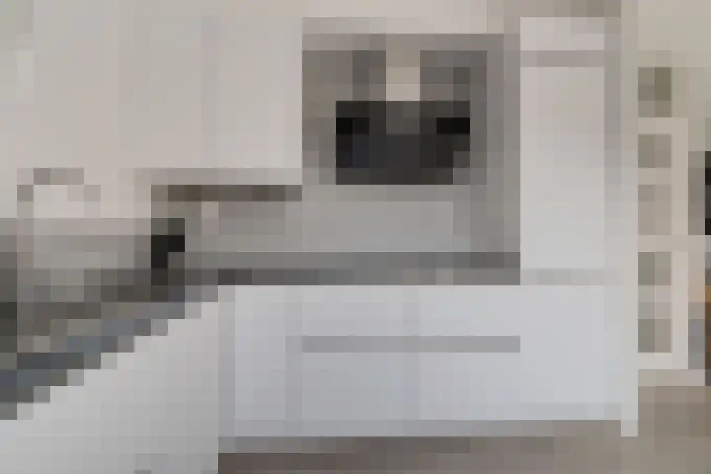 Waterdrieblad 19 Oudkarspel thumbnail 17