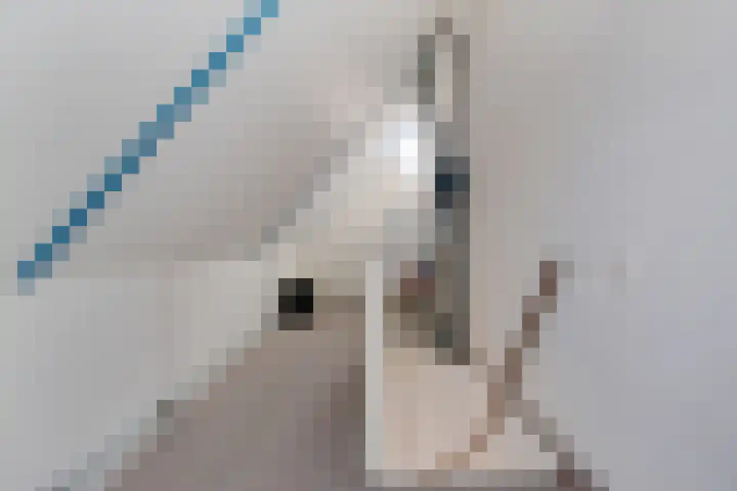 Waterdrieblad 19 Oudkarspel thumbnail 32