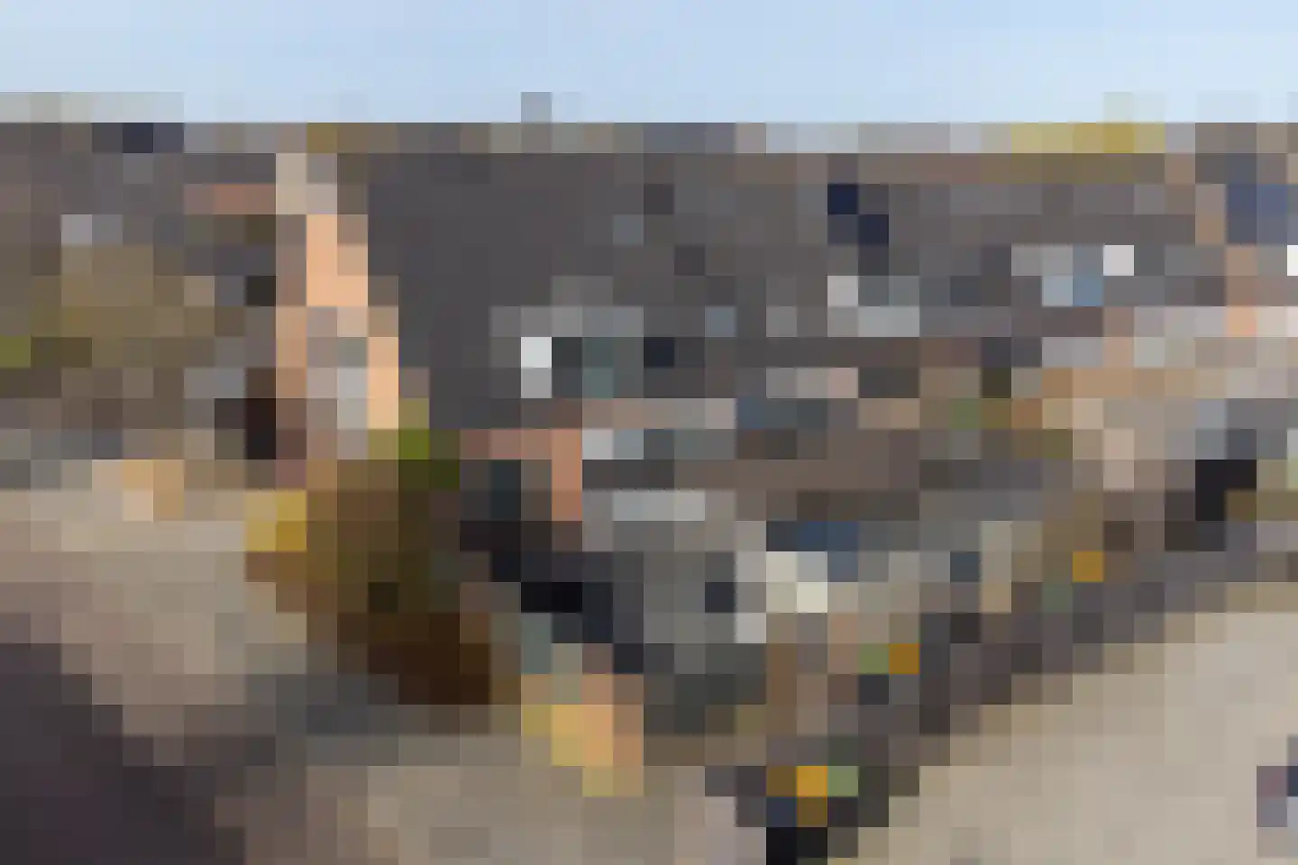 Waterdrieblad 19 Oudkarspel thumbnail 45